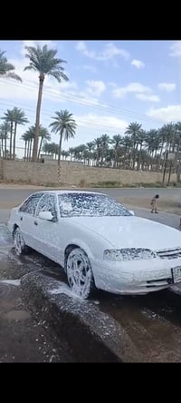 برنس فراشه • ١٩٩٦ • ابو غريب