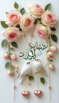 بيت دبل فاليوم. 3 طوابق . للبيع مساحة 225  طابو صرف..  الباوية شارع ال...