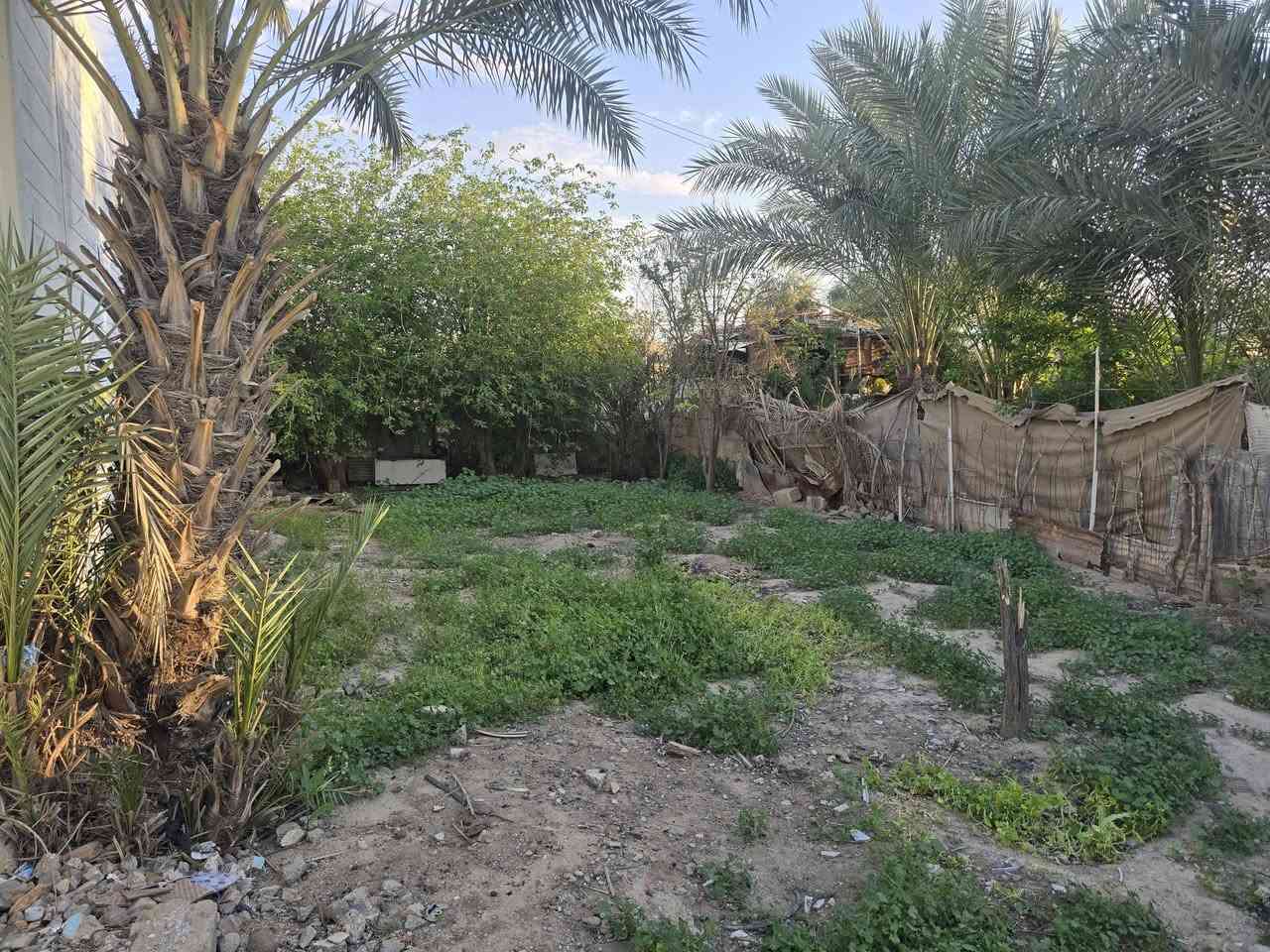 للبيع دار سكن نوع بيوان B1 ركن في المرحله الثانيه يحتوي على حديقه جانبيه كبيره جدا كما موضح بالفيديو السعر ٥٨ وبي مجال .  للتواصل ***********
