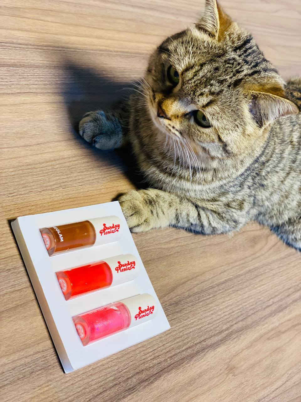 شيكلام استعدي لأحلى لمسة جاذبية مع مجموعة Sheglam Sunday Picnic – Layer Cake Lip Oil 💋🍓
ثلاث زيوت شفاه فاخرة ترطّب وتلمّع وتضيف لون ناعم يخلّي ابتسامتچ تخطف الأنظار ✨

💄 كلوسات الألوان المتوفرة بالمجموعة:
بني شوكليت 🤎 لمسة طبيعية دافية تناسب كل إطلالة.
أحمر توت ❤️ لإطلالة جريئة وأنثوية.
وردي غليتر 💖 بلمعة ساحرة مثالية للمناسبات اليومية والسهرات.

✔️ قوام خفيف وما يترك لزوجة
✔️ يمنح الشفاه مظهر ممتلئ وصحي
✔️ ممكن استخدامه وحده أو فوق أي روج لإضافة لمعة ✨

🍯 كل سيت يحتوي على ٣ زيوت شفاه – 6ml لكل واحد، يعني رفاهية تدوم معاچ طول اليوم 🌸

التوصيل لجميع محافضات العراق


**إذا كنت صاحب هذا الإعلان وتريد حذفه لأي سبب، رجاءا أرسل رسالة إلى الدعم الفني**