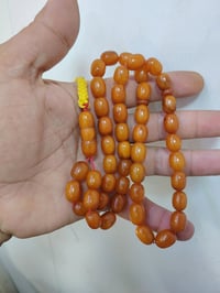 كهرب بولوني • معرض الحرار • ٤١ غرام