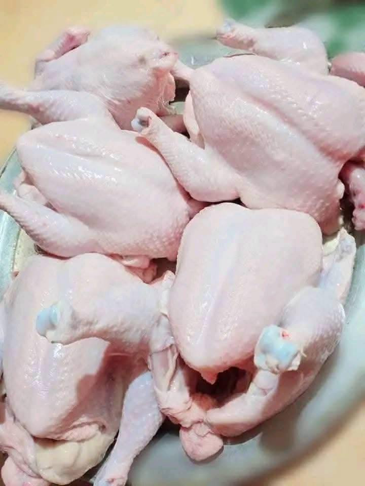 موجود فراسم ذبح.   كيلو ب6
موجود افخاذ كيلو ب6
موجود دجاجه كامله ذبح كيلو ب8
موجود اجنحه كيلو ب4
موجود صدر دجاج كيلو ب6
حواصل كيلو ب٣
كبد دجاج 3كيلوات ب10
ماعليك بس تدخل خاص وكلشي متوفر الطلب عليك والتجهيز علينه وتللون وتوصيل داخل الشطره الف 🥰


**إذا كنت صاحب هذا الإعلان وتريد حذفه لأي سبب، رجاءا أرسل رسالة إلى الدعم الفني**