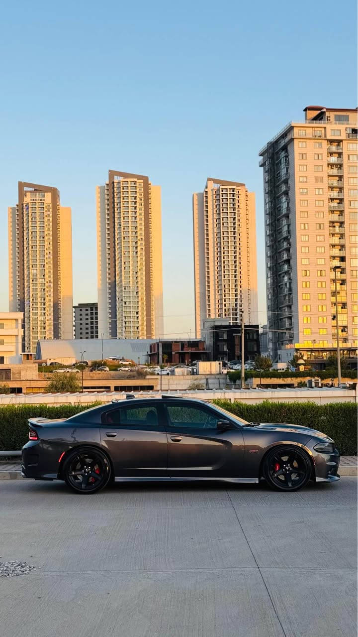 سلام و عليكم ورحمة الله وبركاته بسم الله موجود دوج تشارجر سكات باك ٢٠١٦ وارد كندي للبيع❤️

محرك: SRT V8 6.4L  ٨ سلندر حجم مكينة ٦.٤
مكفول من محرك و كير و كهربايات.✅

سيارة عليها x-pipe . اويل كاتج كان . بلكات ايراديوم . مبدل دهن pennzoil اصلي . كزوزات بلادي ما لاعبتن بيها✅
_____________________
مواصفات📃
1-بصىمة شغال✅
2-تشغيل عن بعد ✅
3-كشنات امامي تبريد+هيتر♨️
4-كشن خلفي هيتر♨️
5-ستيرن هيتر♨️
6-جامات امامي اوتوماتيك✅
7-شاشة كبيرة و كاميرا خلفية✅
8-تحكم وضع قيادة SRT DASHBOARD ✅(CUSTOM,SPORT,DRAG)-9
10-لانج كنترول+بيرن اوت Lunch control +burn out ✅
11-كشن كهربايي✅

___________________
حادث جاملغ خلفي خفيف بدون دواخل 
ماشية:٦٥الف ميل
 و قابل للزياذة.!
____________________
سيارة رقم دهوك سنوية لحد٢٠٣١ هزة لحد شهر خامس
بأسمي تحويل ثاني يوم✅
مكان:سليماني
رقم هاتف: ***********
سعر:١٦٣$مجال السليمانية, العراق
