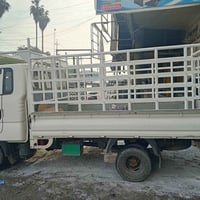 محجرات كيه حمل نثيه وفحل شغل درجه اولى تزكام بوري 3ملم و2ملم بغداد الش...