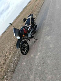 بوكسر 2019 • أوراق كاملة • ناحية جبارة