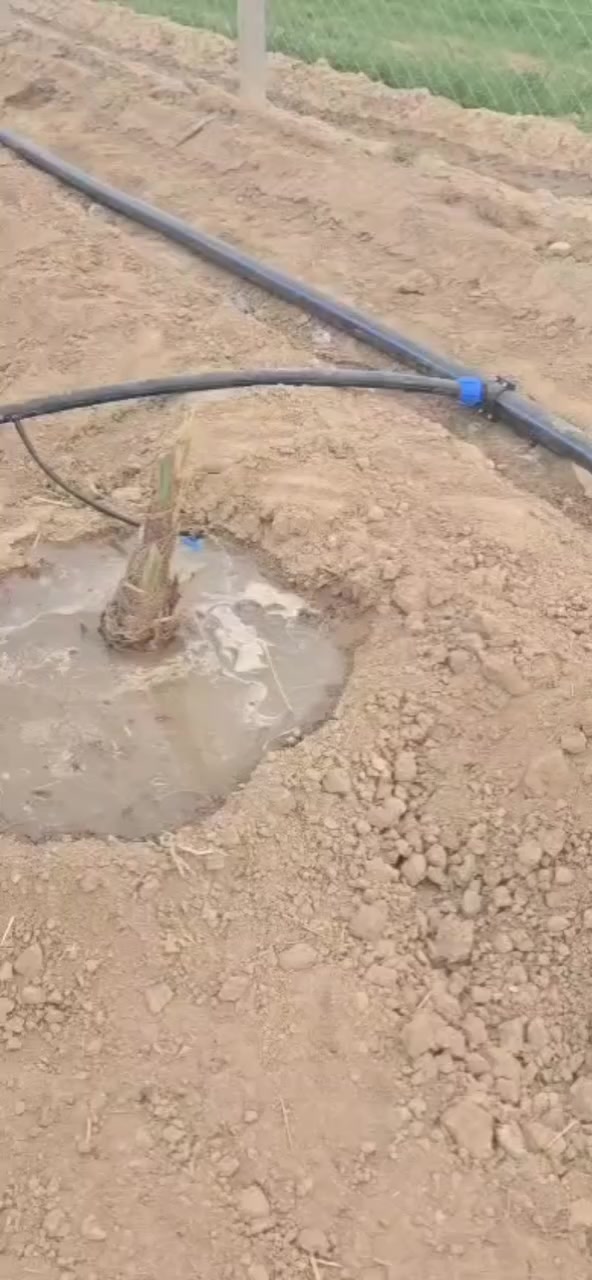 السـلام عليـكم
👷 كادر مختص لتنصيب منضومة التقطير والمرشات
📐 نعمل بأحدث الطرق المتميزه
⚒️ نستلم العمل بالمقطوعه + كرسته وعمل
💦مستعدون لتقطير المزارع والبساتين والحدائق.....
🔨 دقـه . التزام . تنفيـذ
📞 للتواصل ***********
