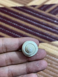 حجره عطف • حجره • عطف • بغداد • الدوره • ب20 الف