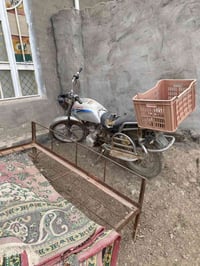 دايون • شغالة • بابل الهندية