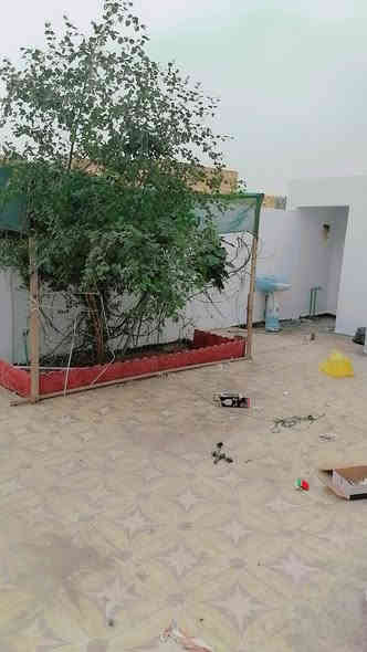 بيت للبيع خلف ملعب الرميثه القديم مساحة 200 متر غرفتين هول براني مطبخ صحيات خارجية وداخليه سعره وباقي تفاصيل ***********
