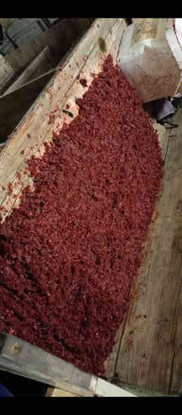 خلفة اراگيل متفرغ للعمل في بغداد
ايتمات جديده وكوالتي باعلى جوده
اشتغل كل انواع الخلطات+ خلطات VIP
اشتغل طبيعي + فنجان 5 رصات
انواع الاراگيل خشب+ الماني+بابلي
لتواصل ***********
