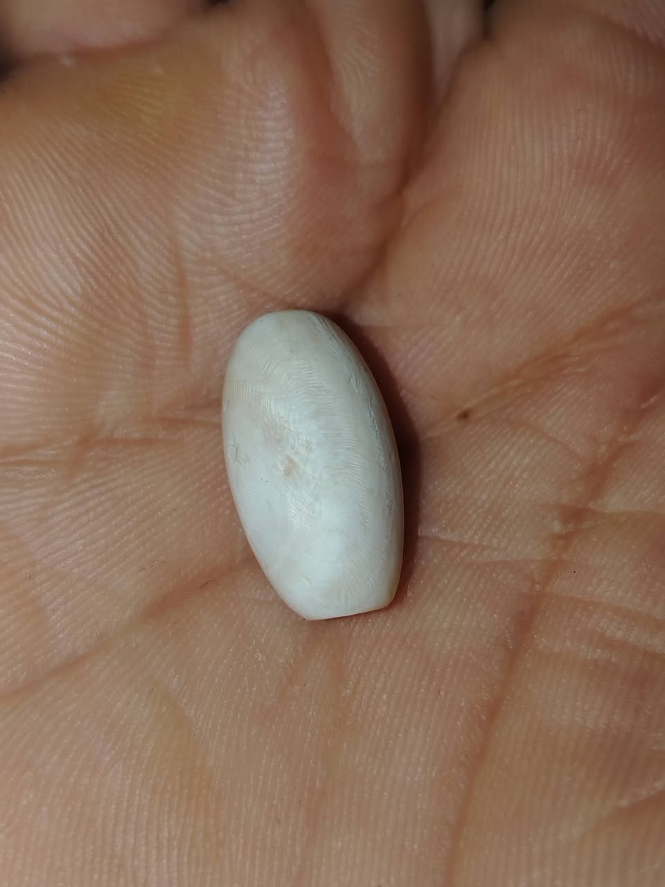 عطفه برية صحيحة مال اهلنة


**إذا كنت صاحب هذا الإعلان وتريد حذفه لأي سبب، رجاءا أرسل رسالة إلى الدعم الفني**