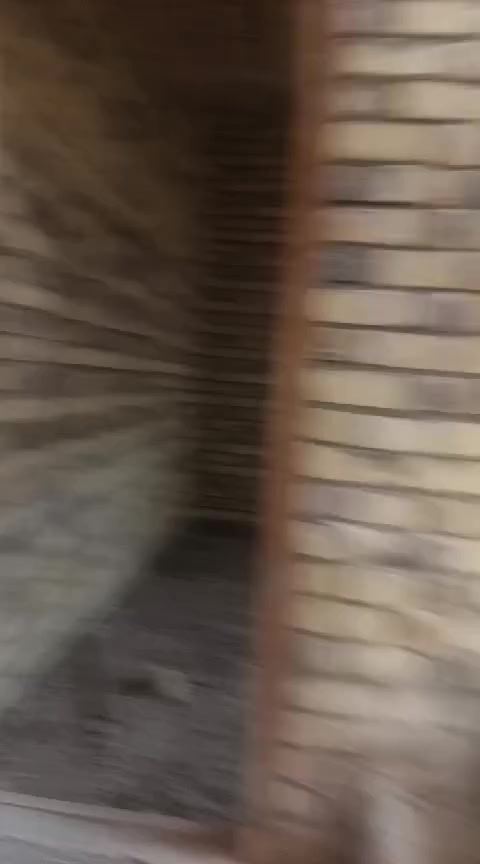 بيت للبيع 180 متر في حي الامين شارع المصطفى عمود 621 قريب لشارع السنيه سند 25 يتكون من غرفتين وصاله ومطبخ واستقبال وصحيات سطح شتايكر ستاره ثرمستون والمجاري كامله فقط 
المنطقه كامله الخدمات كيبل ضوئي
السعر 40 وبيه مجال 
***********
