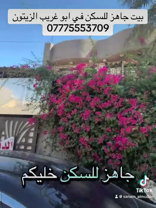 عروض يوم الجمعة 10تموز 2026
دار سكن في الزيتون للبيع
المساحة 105 م واقع حال 125م
3نوم طابقين
استقبال كبير
مطبخ
حمام عدد 2
بناء 2017
خلف مطعم الطيبات
***********
***********
السعر 180 مليون قابل للتفاوض
