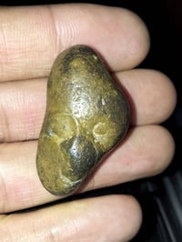 منقل سلطاني • ملقط • ضمان استرجاع