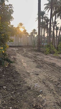 بابل الحلة • ١١٥٠م • ملك صرف