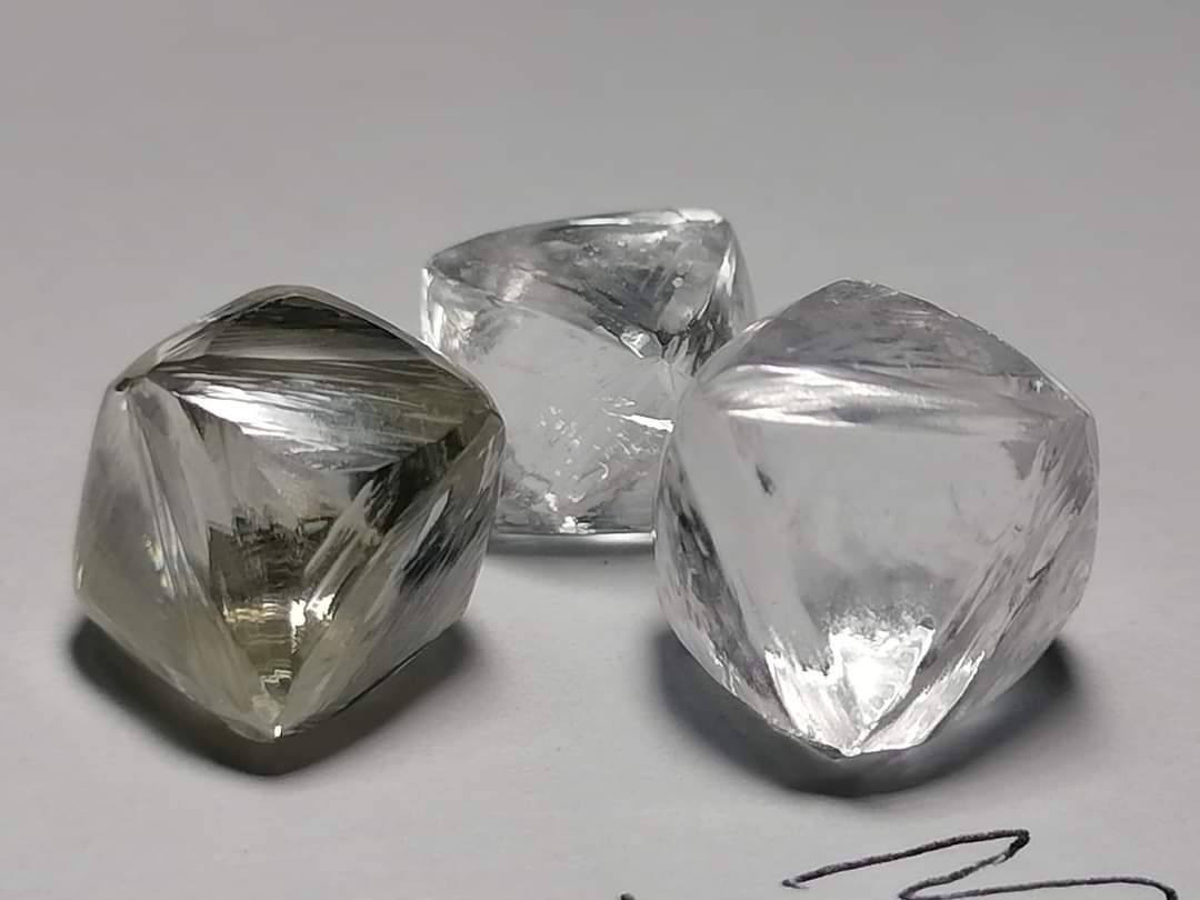 Natural rough diamond
Big size
200 usd per ct


**إذا كنت صاحب هذا الإعلان وتريد حذفه لأي سبب، رجاءا أرسل رسالة إلى الدعم الفني**
