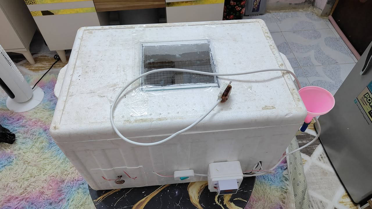 متاح فقاسه +حاضنه الحجك الكبير تشيل 100 بيضه السعر 80 قفل مكاني الطارميه حي الفارس
***********
