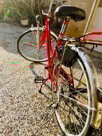 بناتي • مقاس 26 • شهداء عبيدي