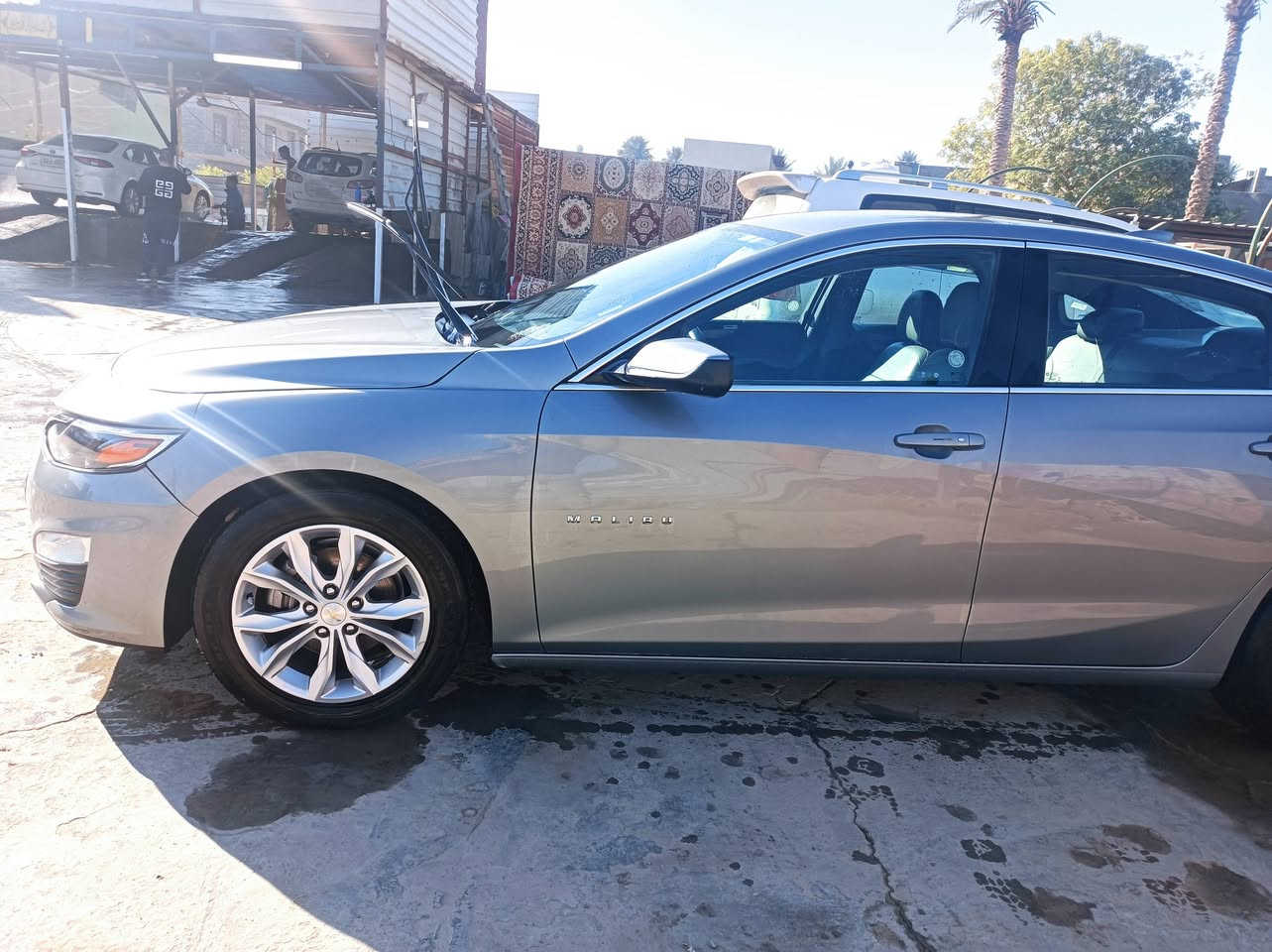 السلام عليكم
ماليبو lt23 بابل ضربه خلفيه بدون ايرباك ماشيه 66الف ميل كشن كهرباء +تدفئه  شادله منضومة زنون سياره جديده محركه وكيره تفاصيله الاماميه كله على وضع الشركه برغي مامفتوح وماخذله سونار حادثه جنطه وچاملغ مصبوغات وطلع بيه قطعتين كلير من امريكا جاملغ امامي وباب الصدر بابل بسمي كاصه على ايدي من امريكه واني امرقمه السعر 145 ورقه وبيه مجال مكاني بابل ***********
