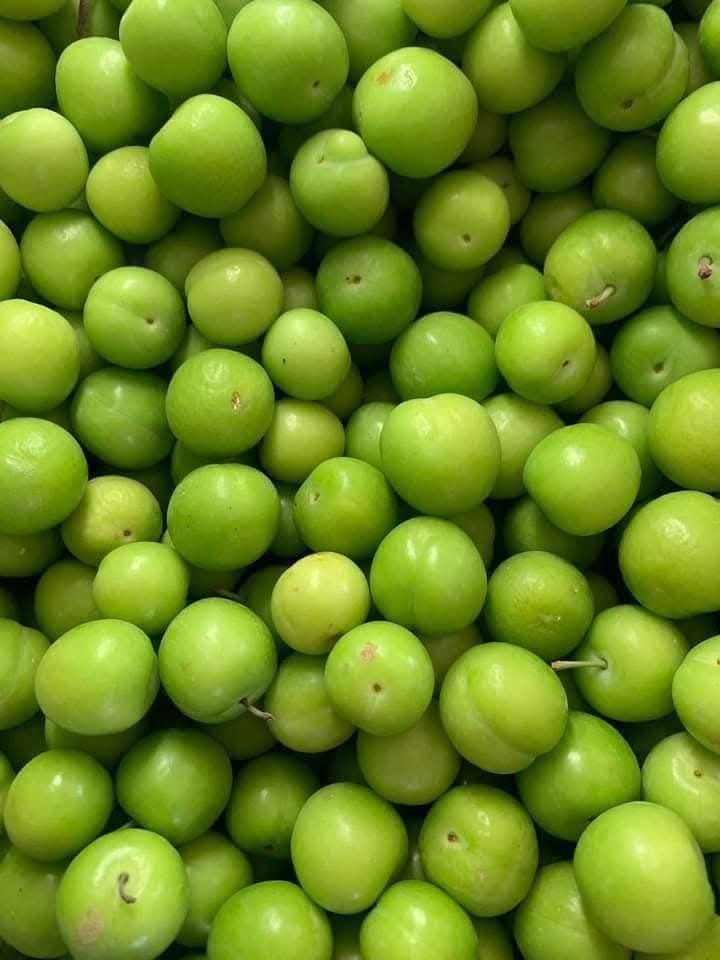 السلام عليكم متابعينا 🤍.
بمناسبه الموسم الربيعي توفرت مجموعه من شتلات اشجار النفضيه المطعمه 🌳🌳❤️
تفاح ابراهيمي مطعم ارتفاع اقل المترين السعر ٧ الف🍏
تفاح كاغدي مطعم ارتفاع اقل المترين السعر ٧ الف🍏
تفاح احمر مطعم ارتفاع اقل المترين السعر ٧ الف🍎
مشمش مطعم ارتفاع اقل المترين السعر ٩ الف🍑
الو اصفر مطعم ارتفاع اقل المترين السعر ٩ الف🍑
عرموط صيفي مطعم ارتفاع اقل المترين السعر ٩ الف🍐
خوخ عراقي مطعم ارتفاع اقل المترين السعر ٩ الف 🥭
تكي كندي ارتفاع اكثر من متر السعر ٧ الف 🫐

📍العنوان: بابل/ محاويل.
📍 متوفر توصيل لجميع محافظات العراق 🚗🚗 
📍للحجز والاستفسار يرجى مراسله الصفحه او مراسلتنا على واتساب من خلال الرقم ***********
