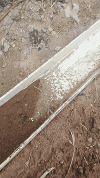 هنكال للبيع ببهن هواي قياسات السمك 8 ملم نظيفات حيل الي يريدهن بيه خير...