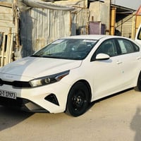 ٢٠٢٣ • كفالة عام • صبغ فقط