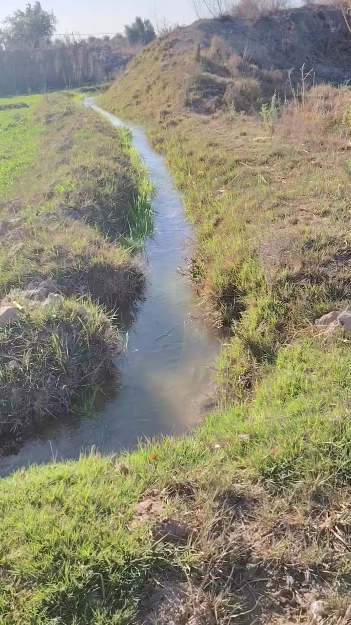 يوجد ارض زراعيه سند25 المساحه 21 دونم
مع بيت زائد حقل
موقع الكاع بابل ناحيت الشوملي قرب جدول حسان
الاستفسار ***********
مراجعة مكتب عباس كعيد
