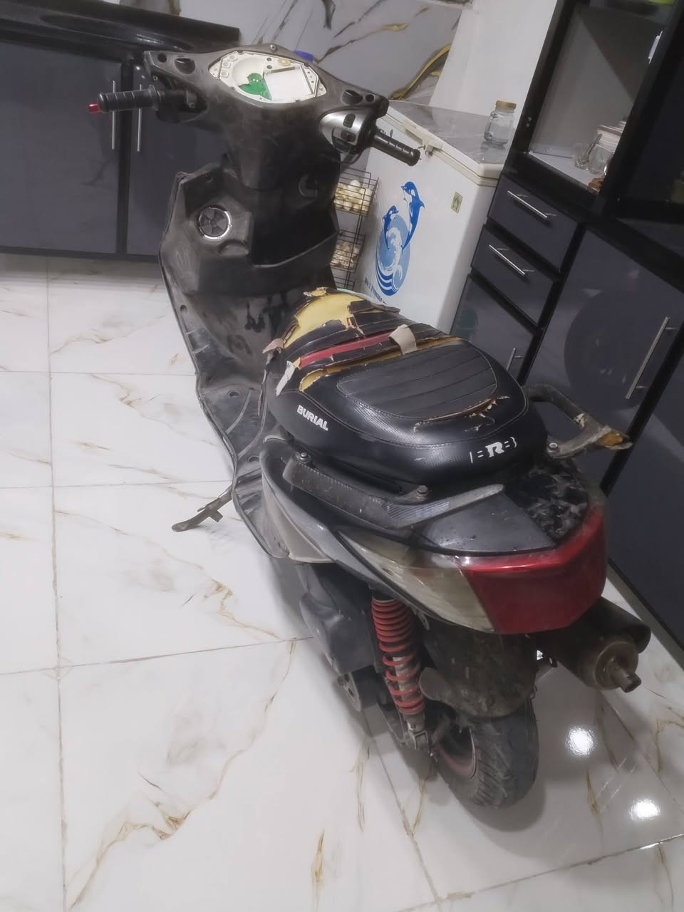 سكنس فحل كابريتر بيهه دخان كوم حديد للبيع  شغاله نكره سلف بكل وكت سعر250 وبيهه مجال أو مراوس بعدله


**إذا كنت صاحب هذا الإعلان وتريد حذفه لأي سبب، رجاءا أرسل رسالة إلى الدعم الفني**