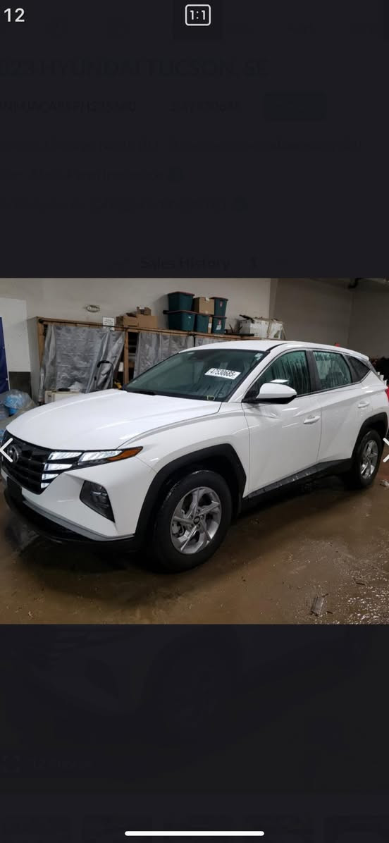 توسان للبيع موديل ٢٠٢٣بدون رقم تترقم جميع المحفظات السياره بسمي حدثها بيبان لمبدلات جدات السياره حلوه ماناقصهابرغي حلوه بدون شخوط بدون باردبجم كفاله مكينه ٢٥٠٠ماشيه ٢٨مكان السياره حله السعر١٨٨وبيها مجال صورالحادث بل منشور***********
