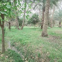 كربلاء الحسينية • دونم ٢٥٠٠م • طابو زراعي