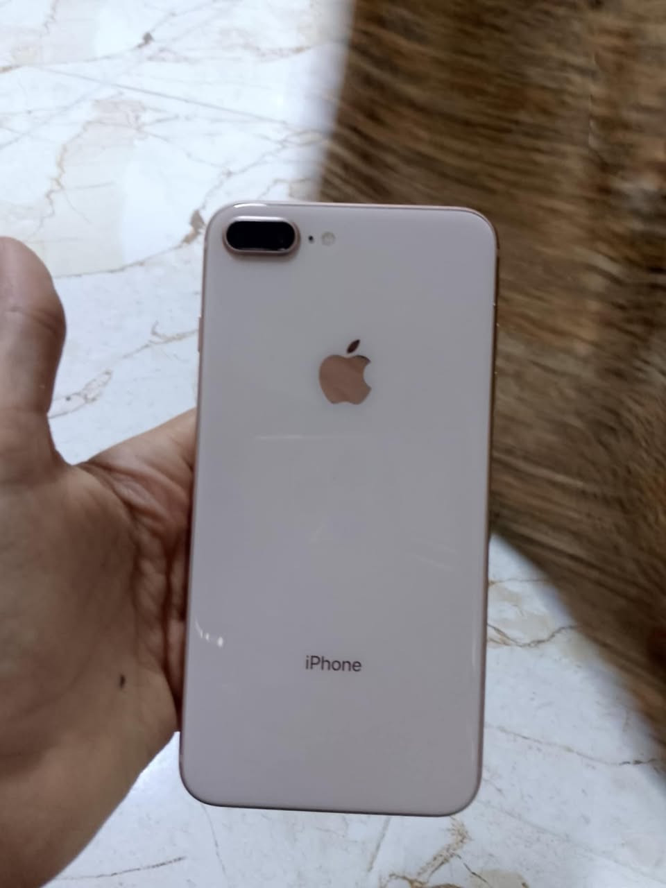 السلام عليكم 
ايفون 8 بلاس
ذاكره 64
بطاريه 100مبدله شرط اصليه
لون مميز مكاني صلاح الدين تكريت 
للأستفسار اكثر خاص


**إذا كنت صاحب هذا الإعلان وتريد حذفه لأي سبب، رجاءا أرسل رسالة إلى الدعم الفني**