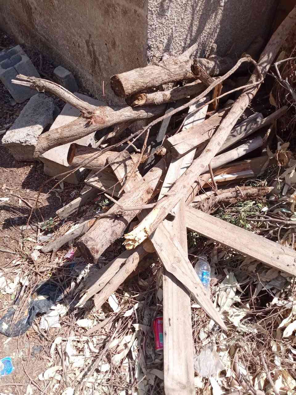 حطب مجاني للحسين لي محتاجه يجي ياخذه بلد شارع الأمير الاستفسار اتصال بلرقم ***********

