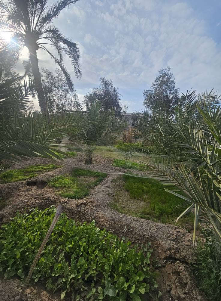 🏡 دونمين للبيع – فرصة مميزة للاستثمار والسكن
📍 الموقع: البصرة / أبي الخصيب – طريق الصحراء
قريب على الشارع العام (السايدين)
📐 المساحة: دونمين كاملين
📜 النوع: طابو ملك صرف – تحويل مباشر باسم المشتري
🏠 تفاصيل العقار:
• يحتوي على دار بمساحة 300 متر
• بناء طابوك 
• الأرض مخدومة بالكامل
🌊 مميزات إضافية:
• محاطة بنهر من جميع الجهات (موقع مميز وهادئ)
• مناسبة للسكن أو مشروع استثماري (شاليه / استراحة  للاستفسار الاتصال على الرقم 
*********** البصرة, العراق
