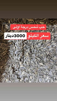 حب شمس • درجة اولى • كمية قليلة