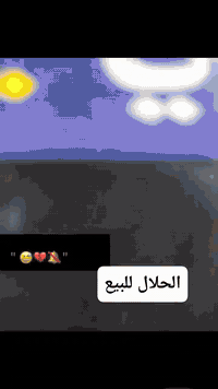 دراجة نارية • مكفولة من سرقه • بابل ابي غرق