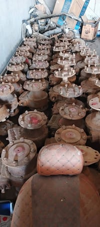 اكسلات • صدامي • سامراء الطيوب