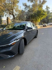 النترا ٢٠٢٥ • سمنتي • رقم اربيل