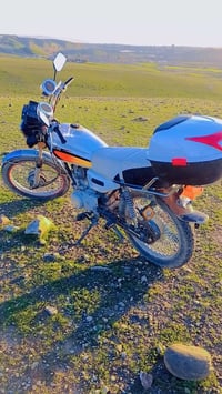 تايجر • ٢٠٢١ • كلو شغال