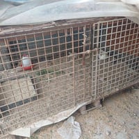 قفص • للبيع • ثقيل