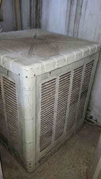 مبرده • قياس ٤ ونص