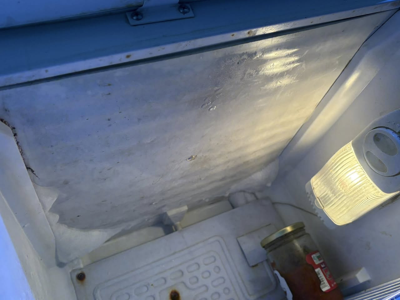 ثلاجه كونكورد الباب الاول حجم وسط نظيفه كلها بلاديه السعر150 مكان الشعله


**إذا كنت صاحب هذا الإعلان وتريد حذفه لأي سبب، رجاءا أرسل رسالة إلى الدعم الفني**