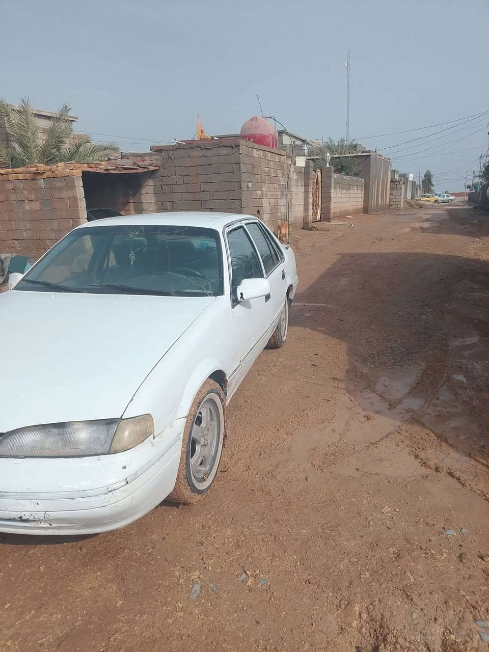 سلام عليكم سيارة برنس فراشة موديل 1998 محرك مفتوح كير وتماتيك سيارة نضيفة داخل خير من اللة اتخم تايرات باتري جديد رقم ديالى ال29 السعر 30 وبيها مجال حك جية  الرقم الهاتف ***********
