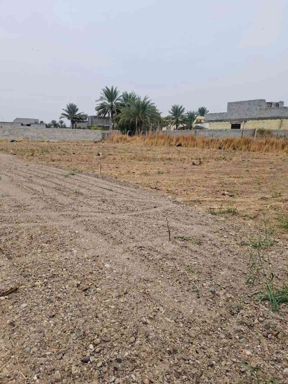 من رخصة الادمن 
السلام عليكم 

قطع أراضي زراعية للبيع توجد عدة مساحات 

الموقع خلف حسن ابو الدهن قرب عميد كائن 

للاستفسار اكثر ***********
