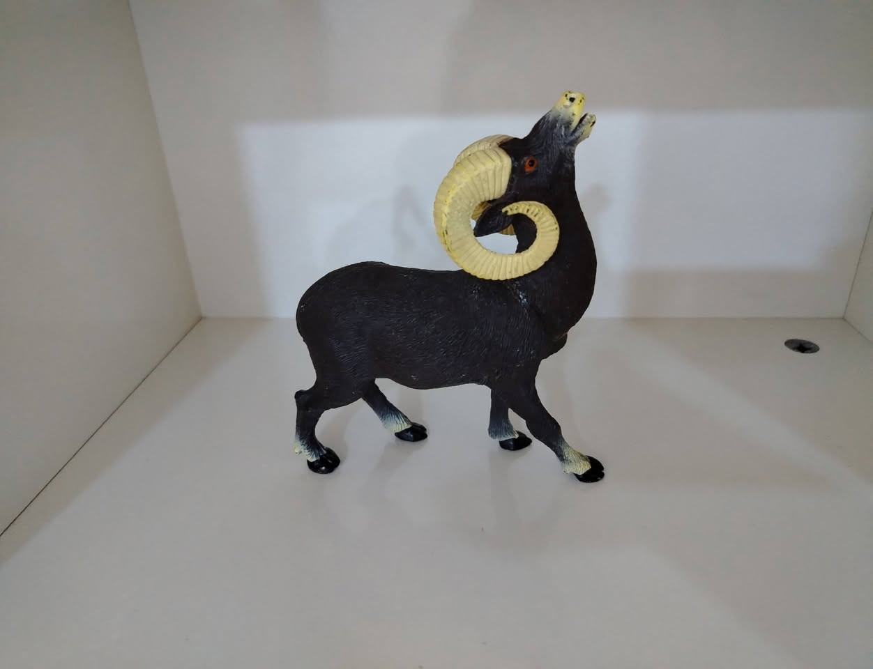 سلام عليكم ورحمة الله متاح مجموعة حيوانات كلهن ماركة ما عدا المجموعه البيها ثعلب ووقندس وقرش وبطه ذني زغار س المجموعة كلها ٢٥ مع التوصيل
متواجد خاص


**إذا كنت صاحب هذا الإعلان وتريد حذفه لأي سبب، رجاءا أرسل رسالة إلى الدعم الفني**