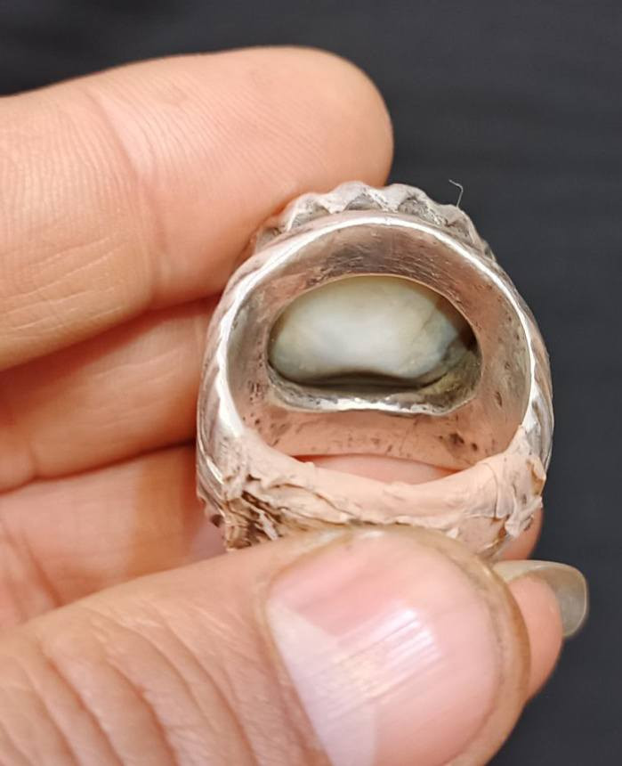 داوودي للبيع بغداد ***********
