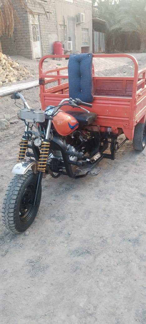 ستوته لبسع رقم بيض  سنويه صاقطه تجدد رحم وتساب *********** لحد راسني هاضه رقم  لولد سعره خاص يم لولد مكان لبصره لمدينه لخاص 🇮🇶
