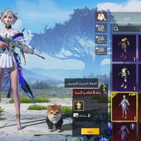 حساب ببجي • نوادر • مستوى ٧٤