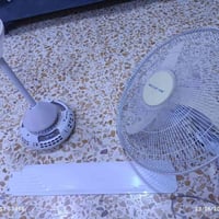 شغالات • على الفحص