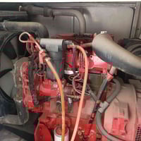 بيركنز • ٣٠ كيلو • بابل مقابل المرور