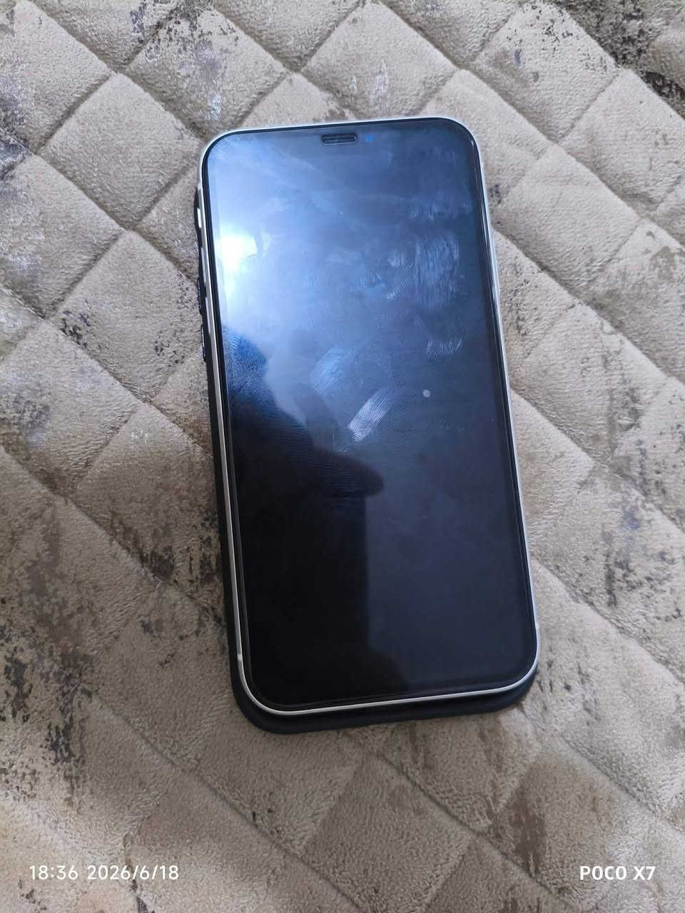 *********** مراوس
